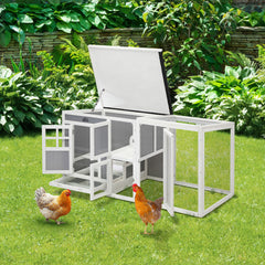 chicken coop rabbit hutch