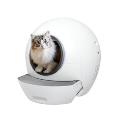 Cat Supplies