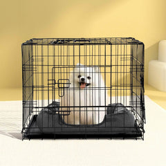 Dog Supplies