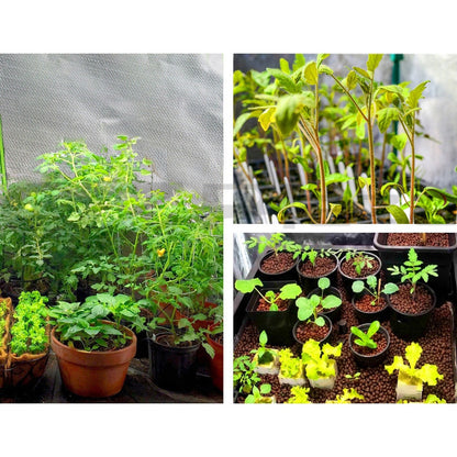 60x60x90CM Hydroponics Kit Indoor Plant Room System