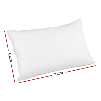 Goose Feather Down Pillow Luxury Twin Pack