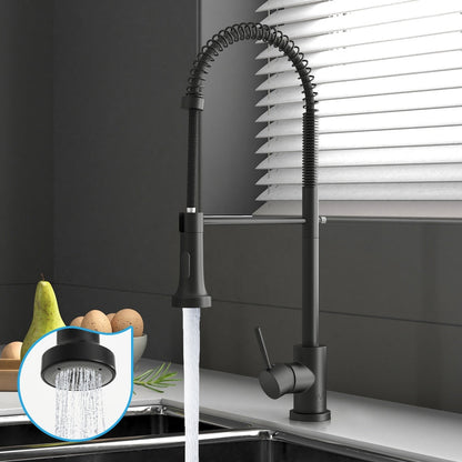 Kitchen Mixer Tap Pull Out Sink Faucet Basin Brass Swivel 2 Modes WELS