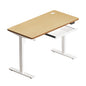 160cm Electric Standing Desk with Drawer Adjustable White Oak