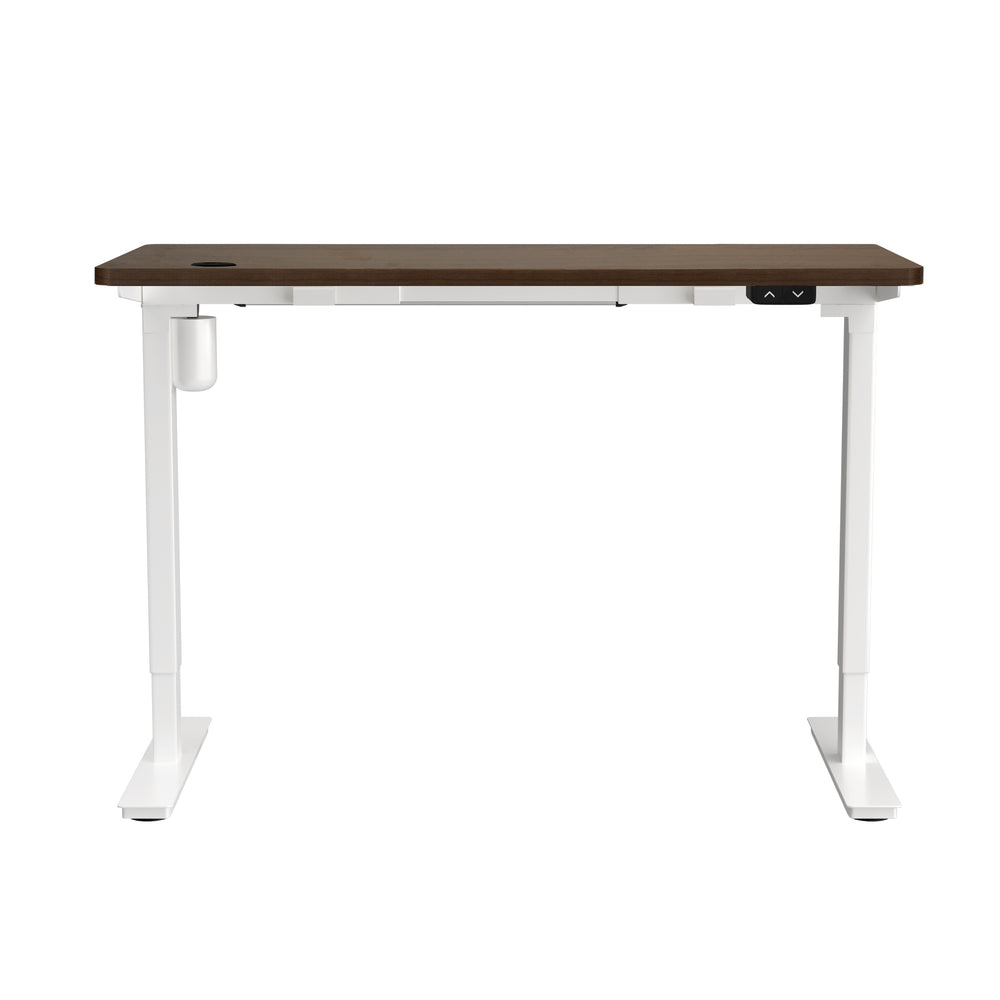 Electric Standing Desk Single Motor Height Adjustable Sit Stand Table White and Walnut 150cm