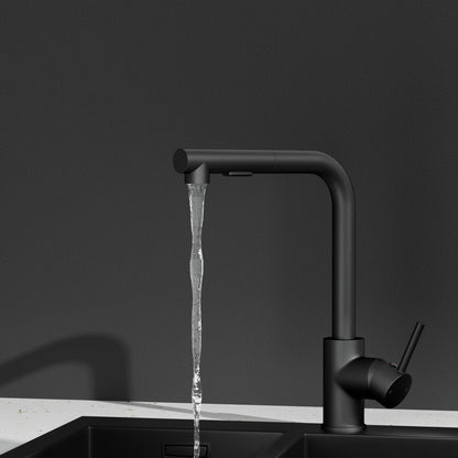 Modern Black Kitchen Mixer Tap - Pull-Out Swivel