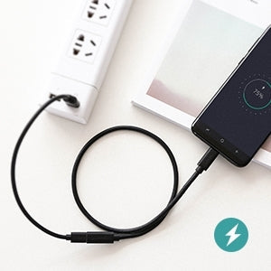 40574 Usb C Extension Cable 0.5M