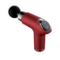 12-Speed Mini Muscle Massager