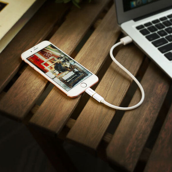 Micro Usb To Lighting Adaptor (20745)