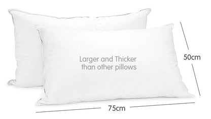 Duck Down Feather Pillow Twin Set - 1.3kg